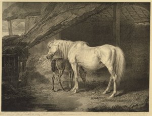 Primrose and Foal, från Celebrated Horses, en uppsättning av fjorton racingtryck publicerade av konstnären, 1823-24 av James after Ward