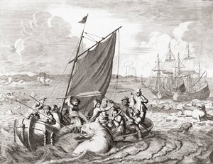 Valrossjägare på 1500-talet (gravyr)