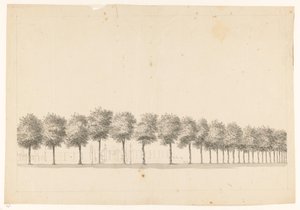 Bomenallee i Batavia av Jan Brandes