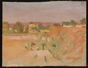 Rosa Landschaft mit Kakteen. Aus einer Reise nach Indien