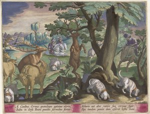 Hertenjacht met honden Jachttaferelen (serietitel) Jakten på vilt, fågel och fisk i Bestiary (serietitel) av Jan Collaert