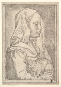 Flicka med en katt, 1546. av Jan Cornelisz Vermeyen