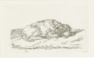 Sovande hund med huvudet vilande på frambenen av Jan Dasveldt