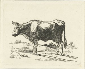 Stående ko av Jan Dasveldt