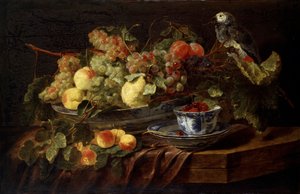 Stilleben med frukt och papegoja, 1645.