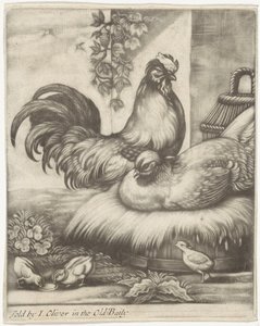 tupp och höna