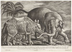 Olifant een neushoorn En sann representation av naturens två stora mästerverk, elefanten och noshörningen (titel på objektet)