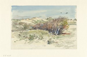 Dynlandskap mellan Bloemendaal och IJmuiden