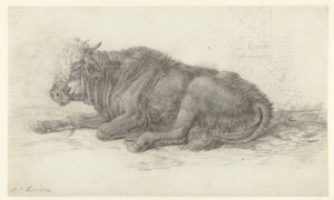 Liggande ko av Jan Joost van Cossiau