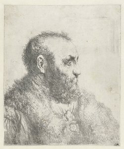 Byst av en gammal man med päls av Jan Lievens
