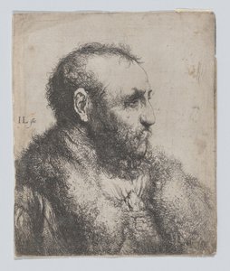 Byst av en gammal man med pälskrage av Jan Lievens