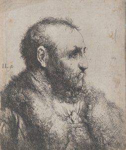 Byst av en gammal man med pälskrage, 1600-tal. av Jan Lievens