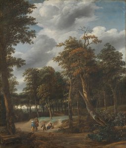 Skogsväg av Jan Looten