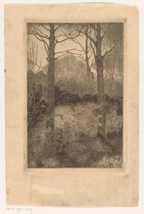 skogsbrynet av Jan Mankes