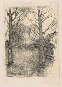 skogsbrynet av Jan Mankes