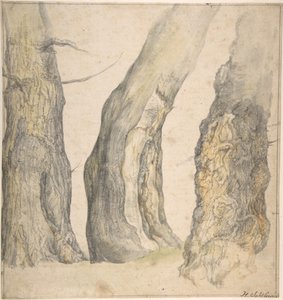 Studie av tre gamla knotiga träd, 1660.