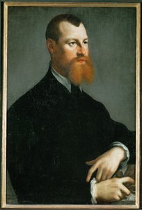  av Jan Stephen Calcar