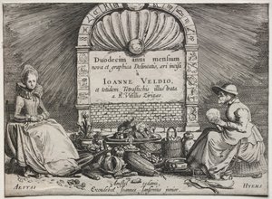 De tolv månaderna. av Jan Van de Velde