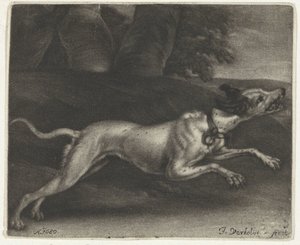 springande hund av Jan Verkolje (I)