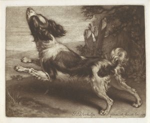 Löpande hund, möjligen en spaniel