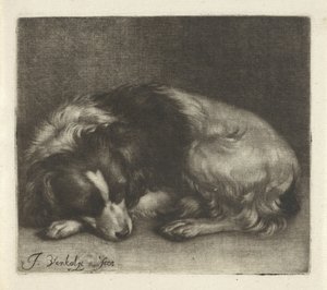 Sovande hund, möjligen en spaniel av Jan Verkolje (I)