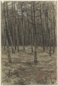 Skogslandskap av Jan Veth