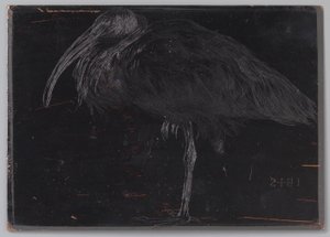 Ibis (originaltitel på objekt) av Jan Veth