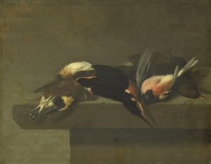 Döda fåglar av Jan Vonck