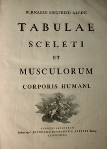 Albinus I, Titelsida, från 