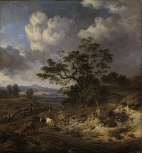 Kuperat landskap med kor