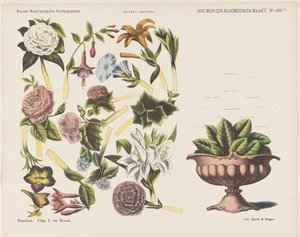 Hur man gör en blombukett / (1) (titel på objekt) Nya holländska barntryck (serietitel på objekt) Funkes tryck (serietitel på objekt)
