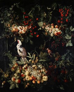 Fruktbitar med blommor runt en kartusch med en svavelkakadua (olja på duk) av Jan van (attr. to) Kessel