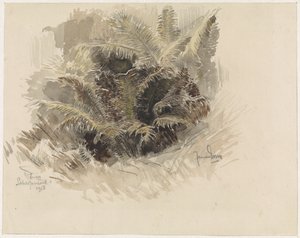Kungens ormbunke i en trädgård i Scherpenzeel av Jan van Essen