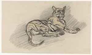 Liggande tiger, vänd åt höger