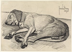 Sovande hund, till vänster