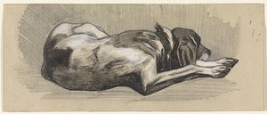 Sovande hund, till höger av Jan van Essen