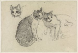 Studieblad med katter av Jan van Essen