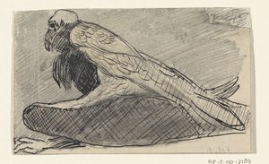 sittande gam av Jan van Essen