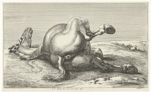 fallen häst Dead Horses (serietitel)
