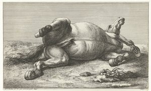 Död häst som ligger på sin vänstra sida Dead Horses (serietitel)