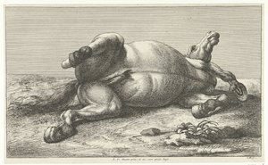 Död häst som ligger på sin vänstra sida Dead Horses (serietitel)