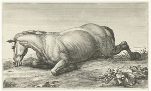 Död häst som ligger på magen Dead Horses (serietitel)