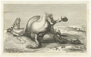 Fallen häst sedd bakifrån Fallen Horses (serietitel)
