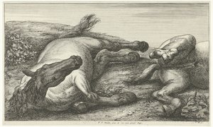 Två fallna hästar, den vänstra sedd framifrån Fallen Horses (serietitel) av Jan van Huchtenburg