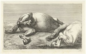Två fallna hästar, den högra sett från sidan Dead Horses (serietitel) av Jan van Huchtenburg