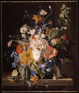 Vallmo, stockrosa, Morning Glory, viola, tusenskönor, sötärtor, ringblommor och andra blommor i en vas med en snigel på en avsats