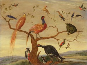 A Concert of Birds (olja på kopparpanel) av Jan van Kessel the Elder