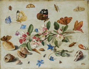 Blommor och insekter, sent 1650-tal eller tidigt 1660-tal