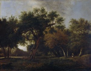 Utsikt i skogen av Jan van  Kessel