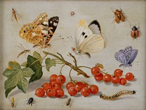 Ett stilleben med en kvist röda vinbär, fjärilar, skalbaggar, larver och insekter (olja på koppar)